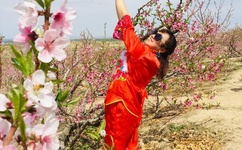 广场舞彩云伴海鸥